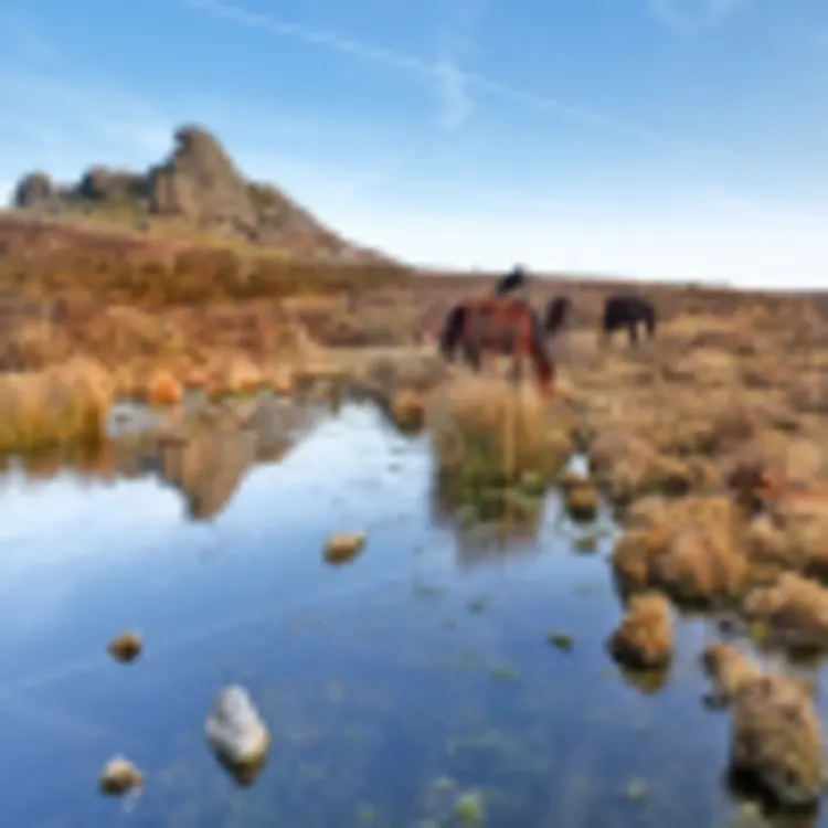 Dartmoor National Park, Devon