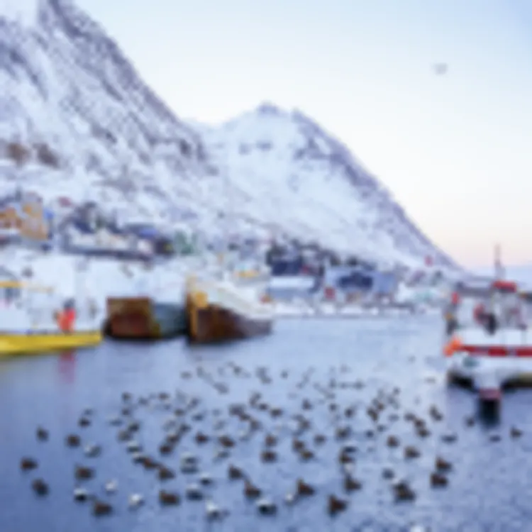 Siglufjördur