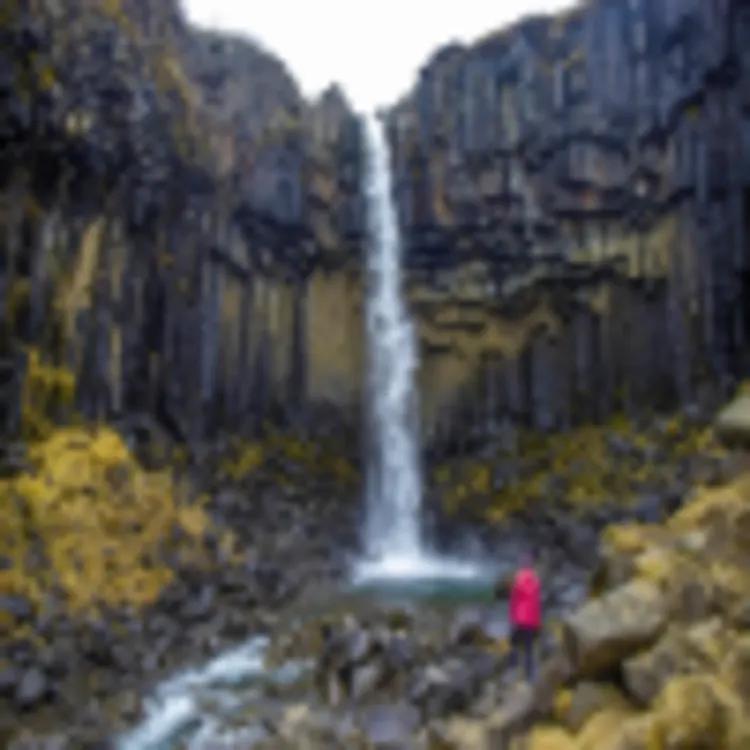 Svartifoss, Skaftafell Nationalpark