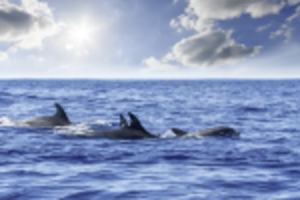 Chanonry Point