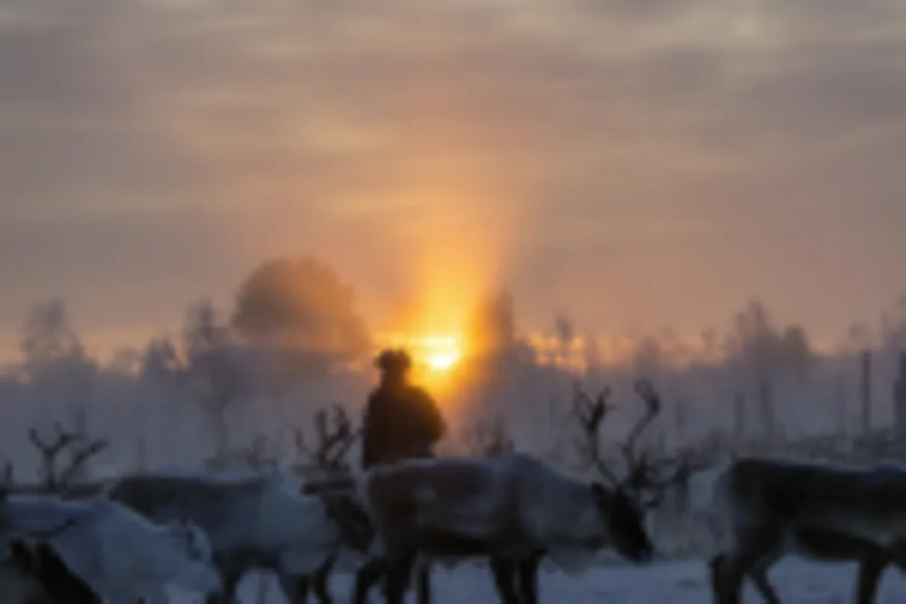 Nivunki Village, Rentiere