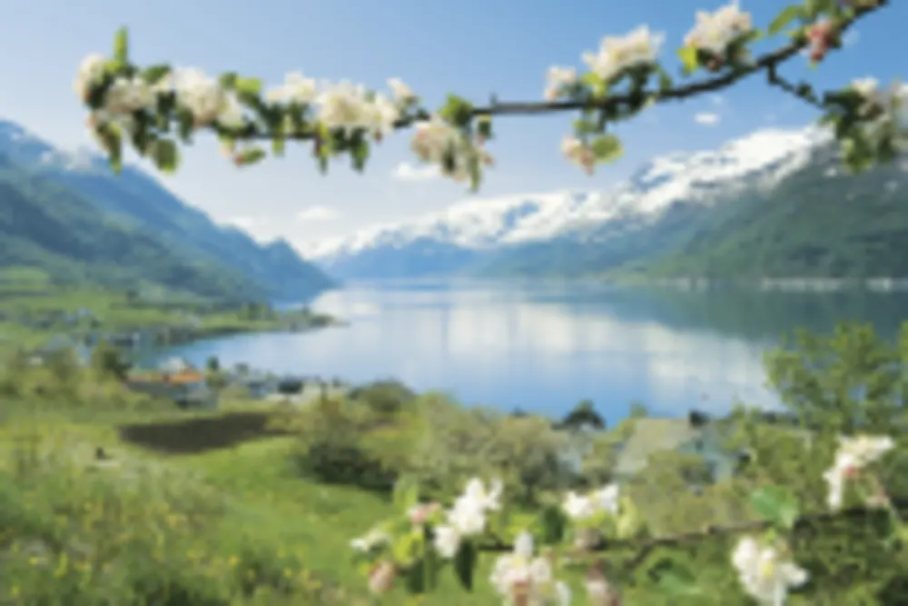 Hardangerfjord