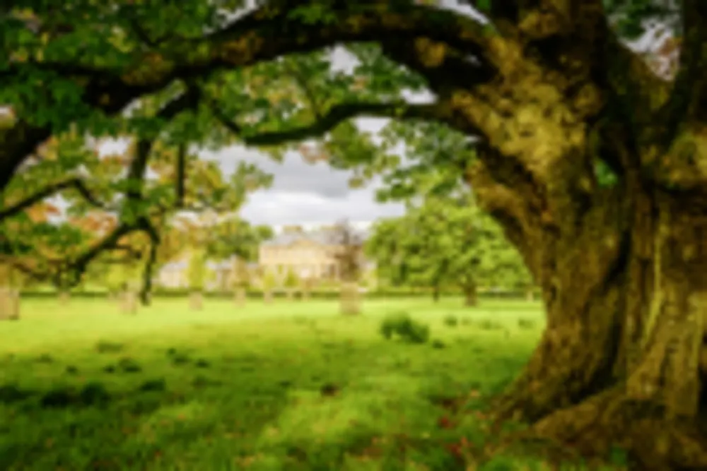 Dumfries House