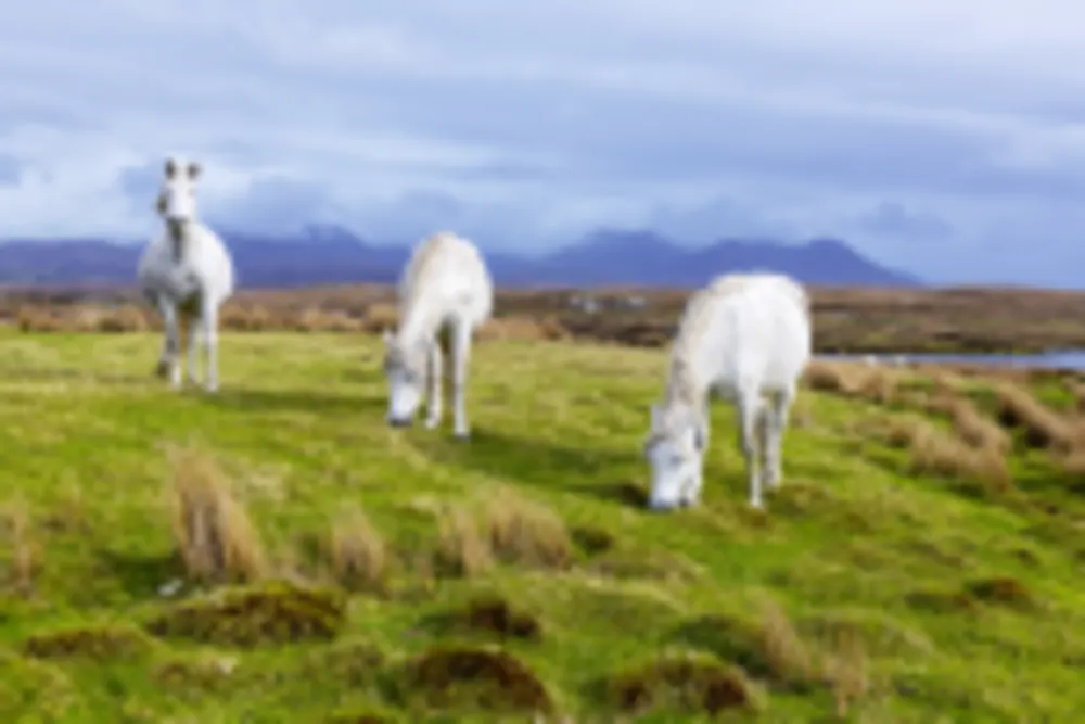 Connemara