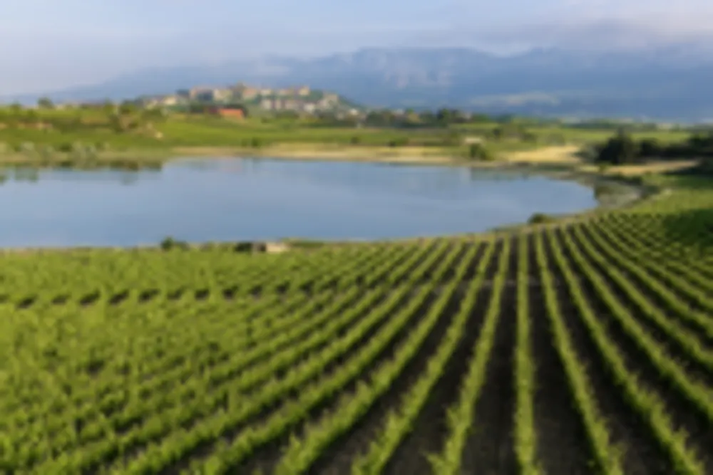 Weinberge, Laguardia