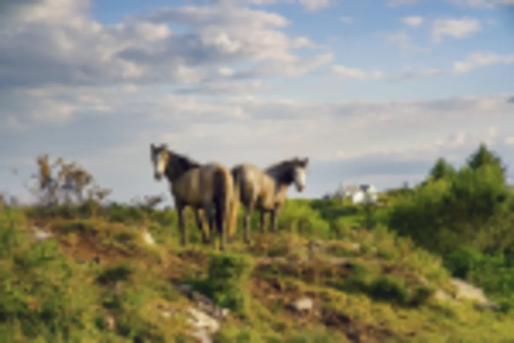 Connemara
