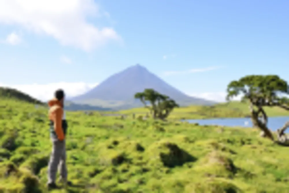 Pico