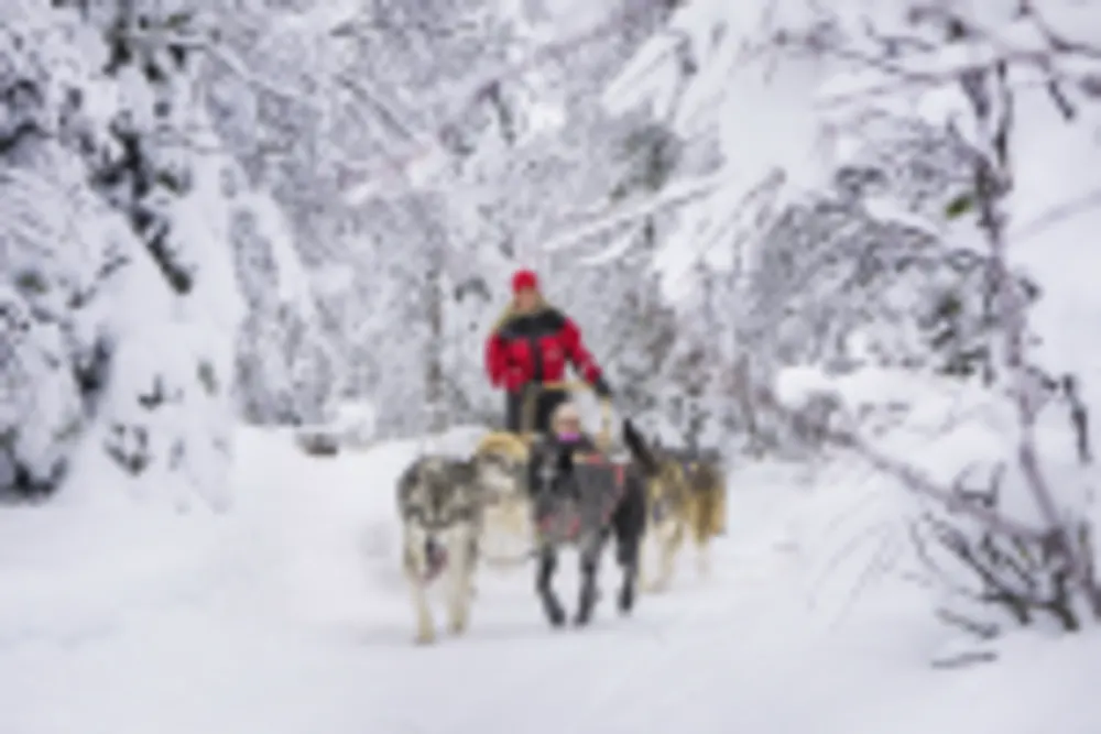 Ruka Safaris