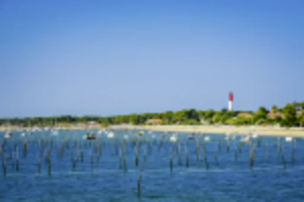 Cap Ferret
