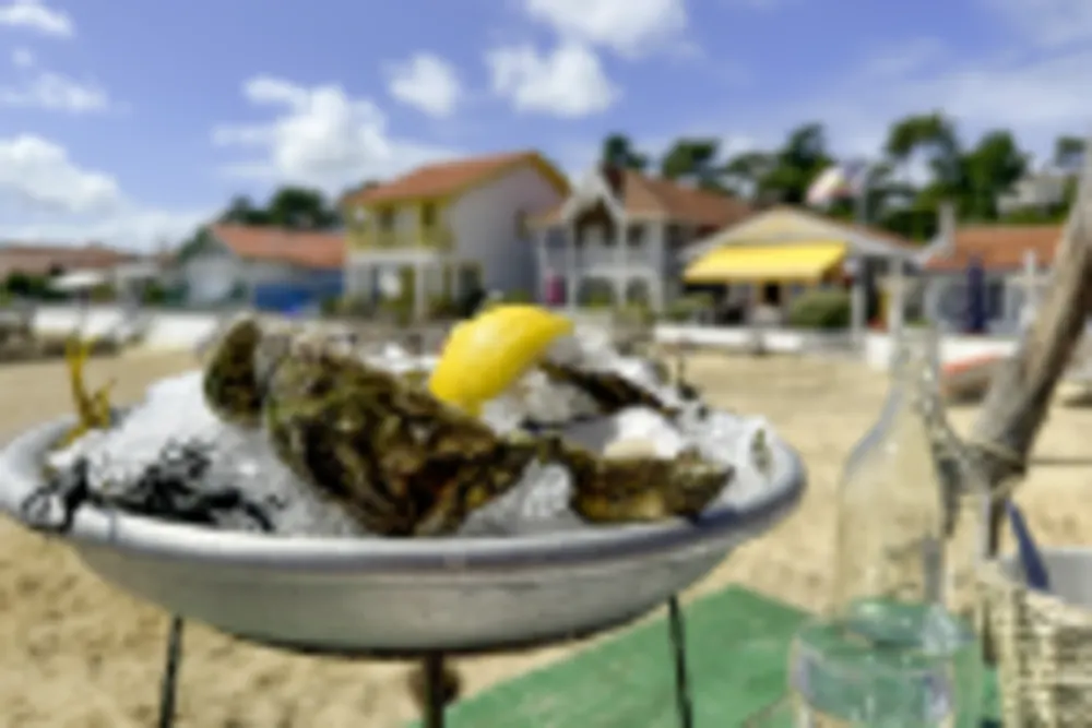 Cap Ferret
