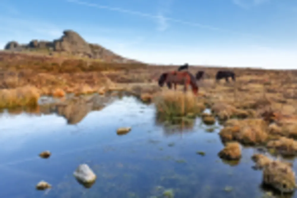 Dartmoor National Park, Devon