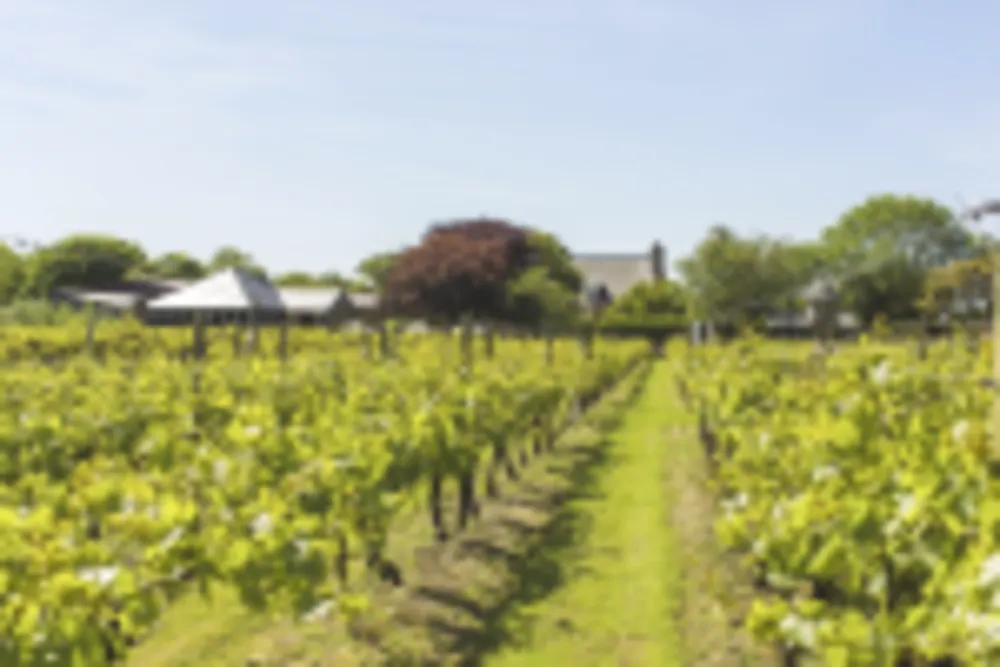 La Mare Wine Estate, Jersey