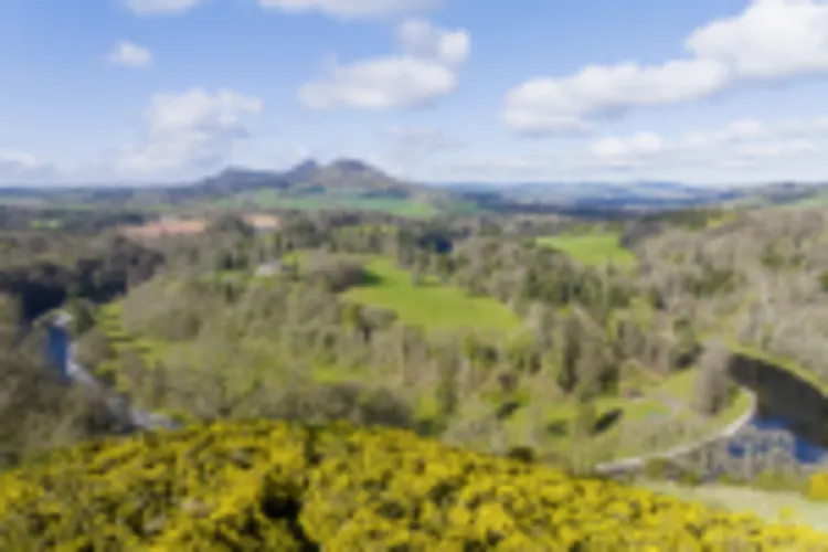 Scott's View