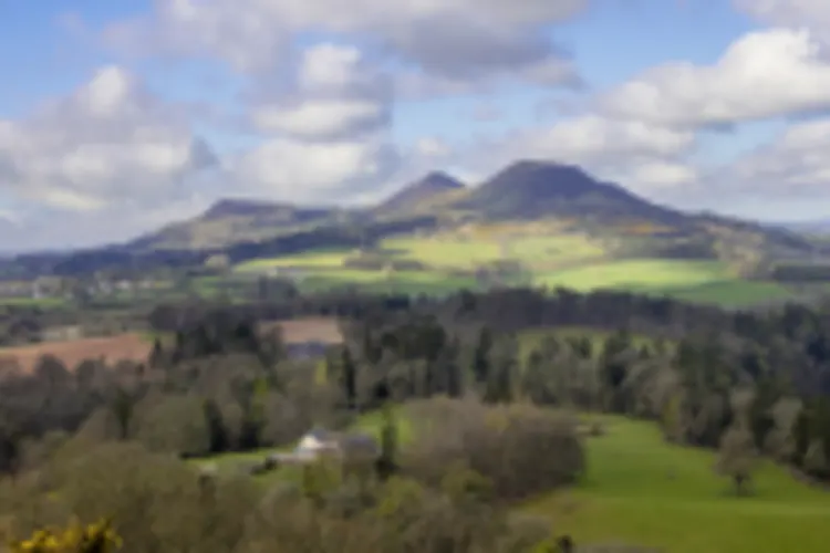 Scott's View