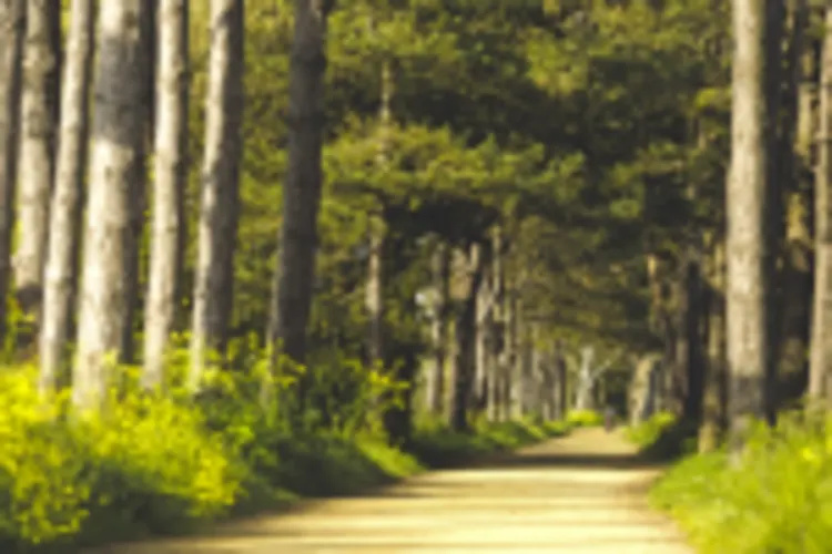 Corbiere Railway Walk