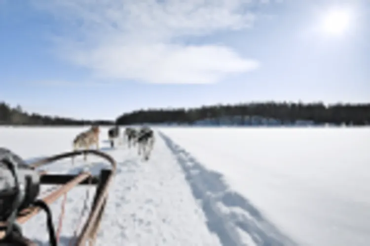 Huskysafari