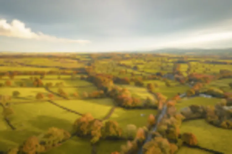 Dartmoor Nationalpark