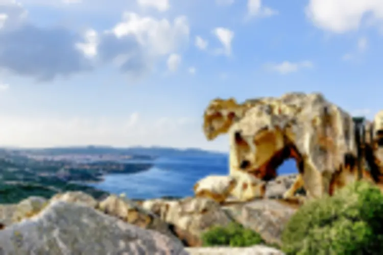 Roccia dell'Orso, Palau