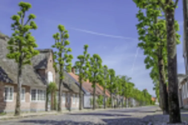 Møgeltønder