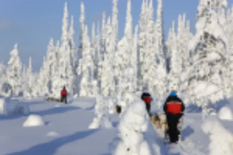 Iso Syöte Huskysafari