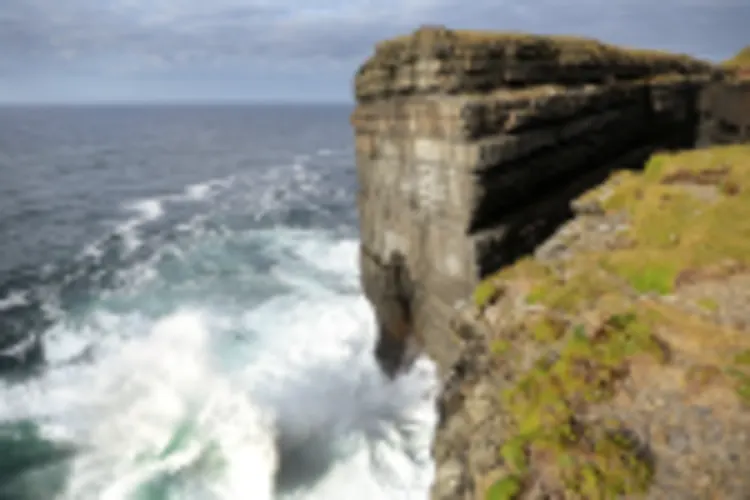Loop Head
