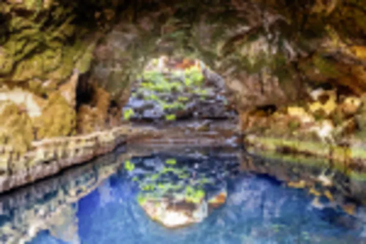 Jameos del Agua