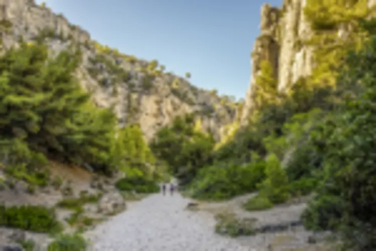 Calanques