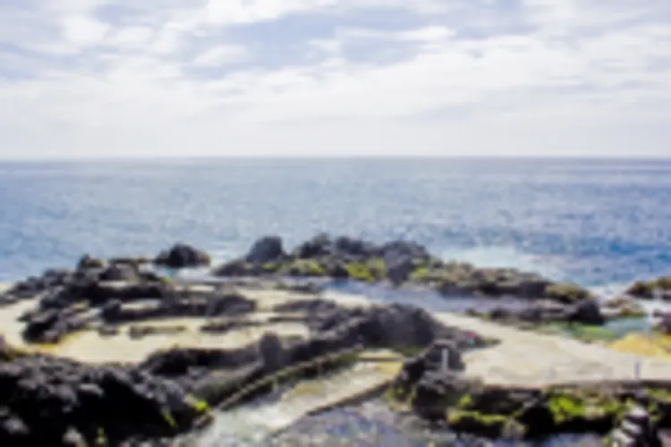 Naturpool