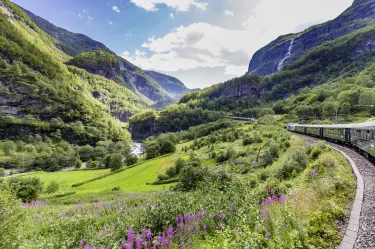 Aurland