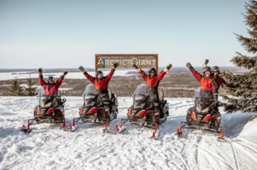 Arctic Giant Motorschlitten