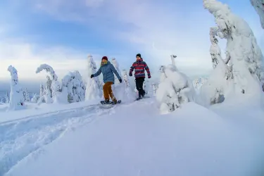 Iso-Syöte Schneeschuhwanderung