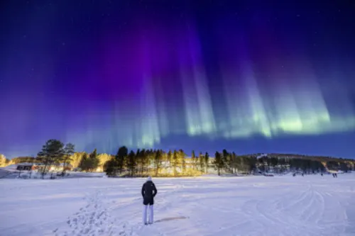 Nordlichter