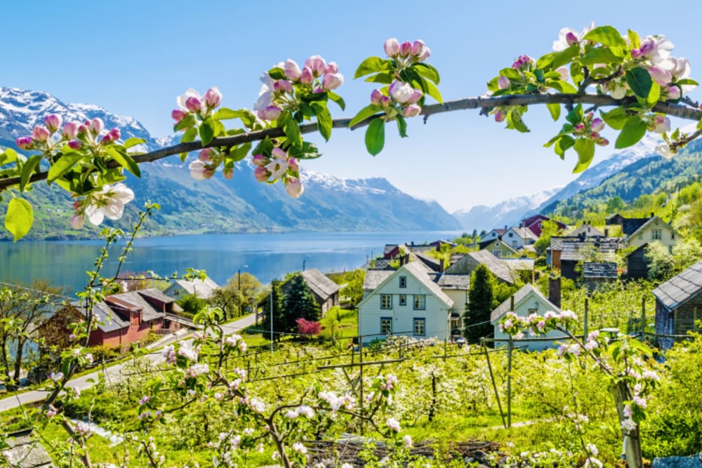 Hardangerfjord