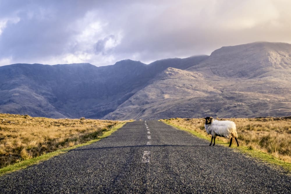 Connemara
