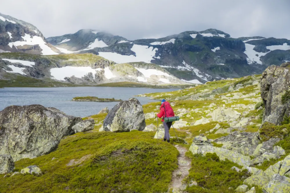 Hardangervidda