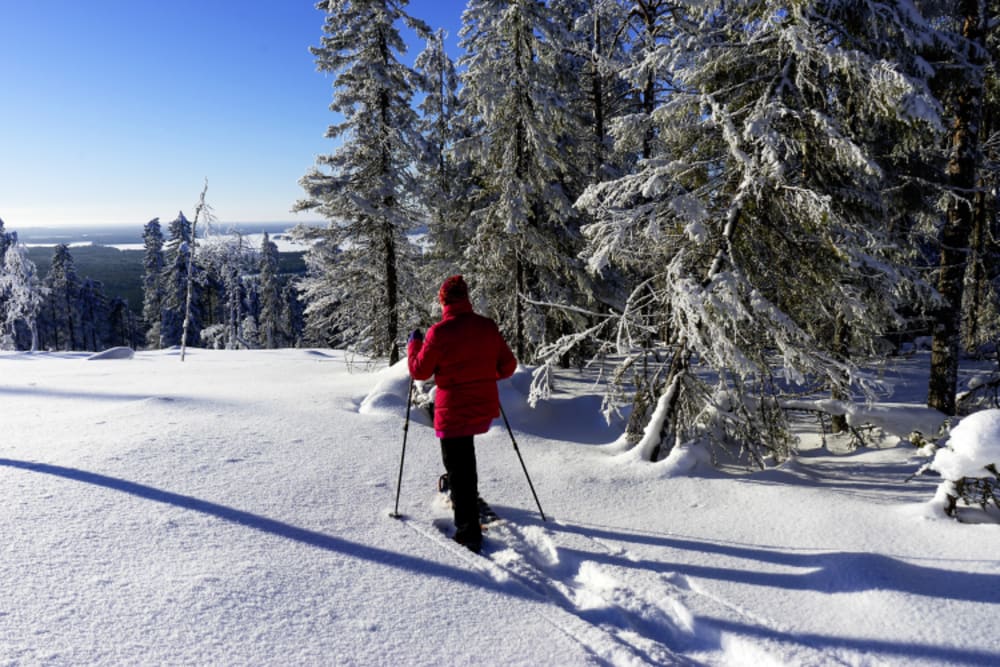 Arctic Giant Schneeschuhwanderung