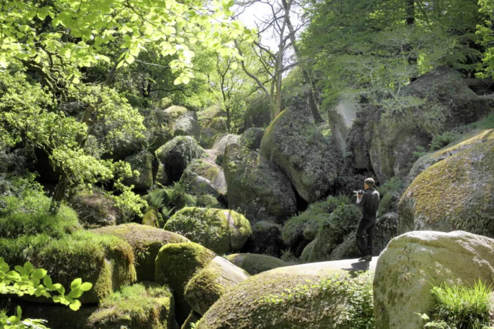 Felsenwald, Huelgoat
