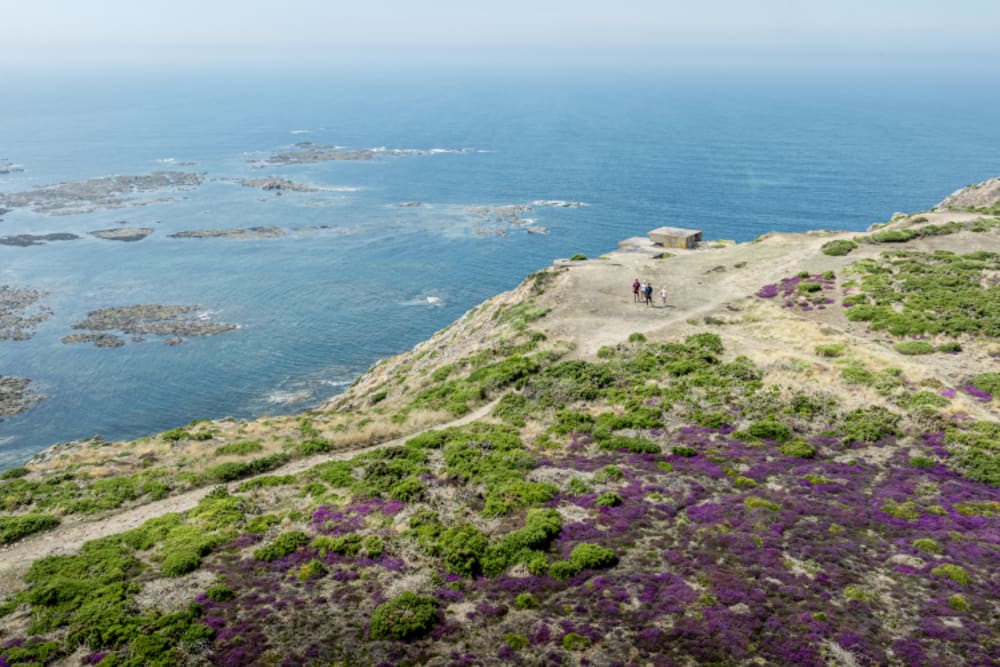 Les Landes, Jersey