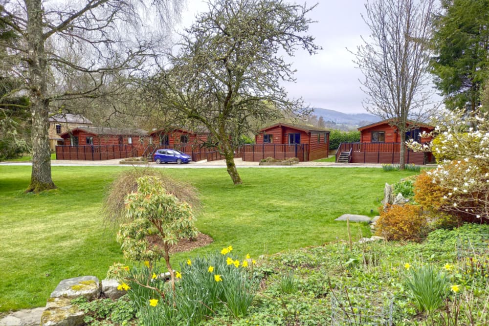 Dalshian Chalets