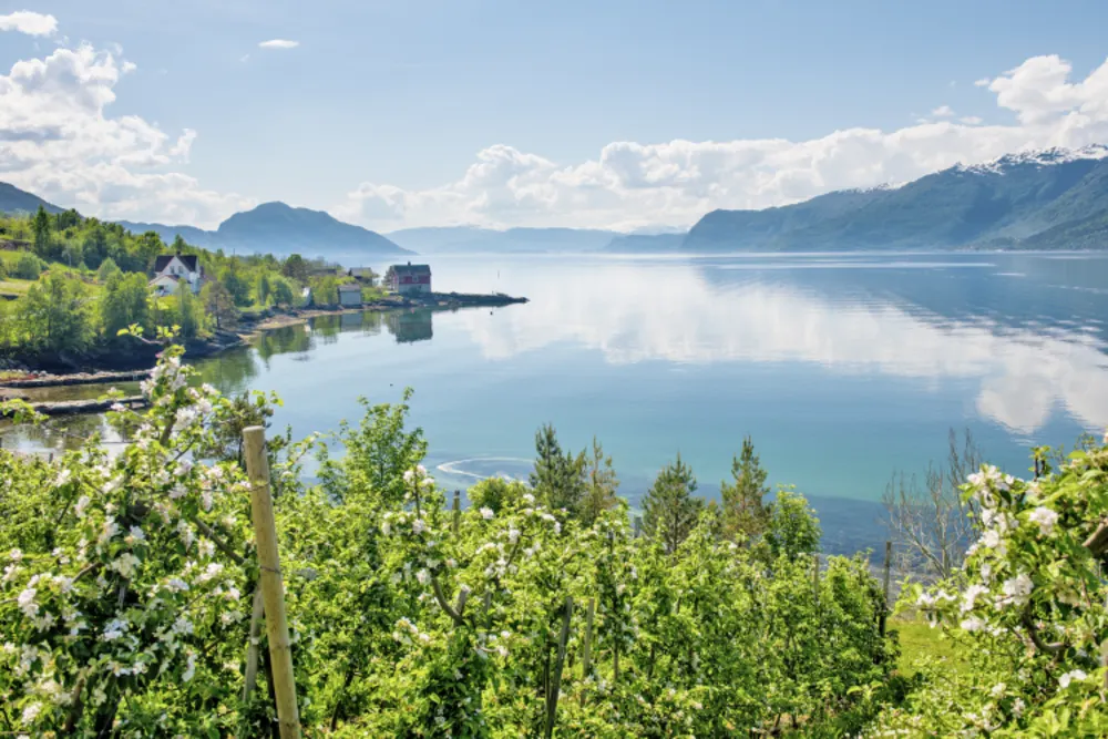 Hardangerfjord