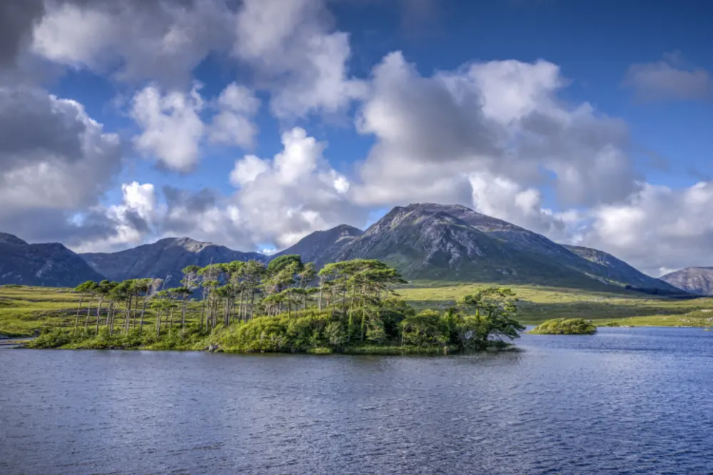 Connemara, Pines Island Viewpoint