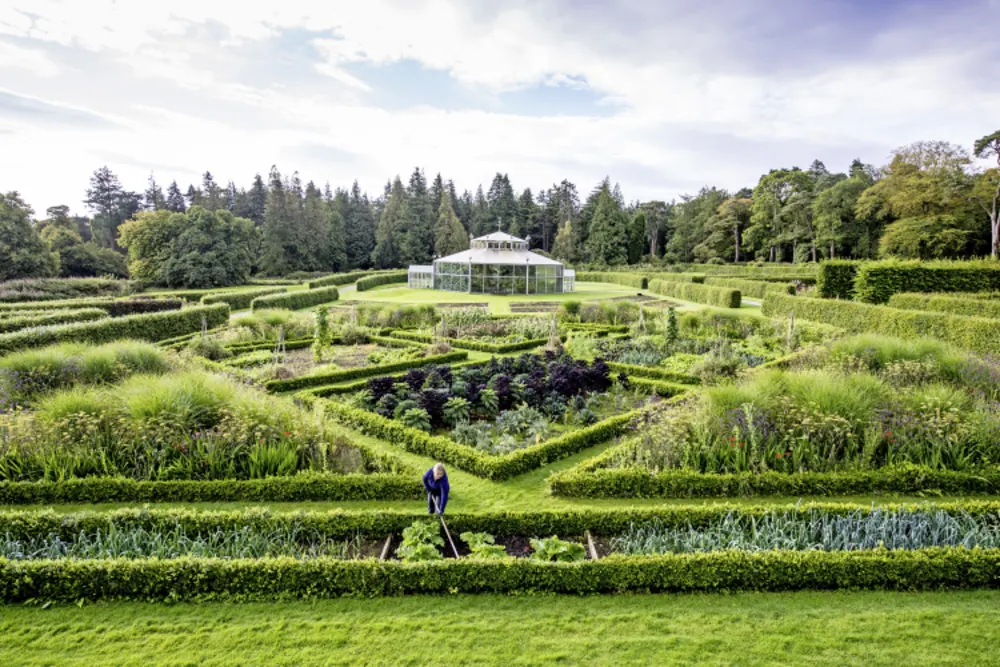 Mount Stuart