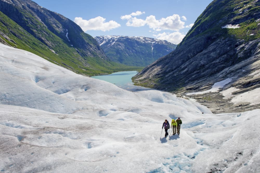 Nigaardsbreen