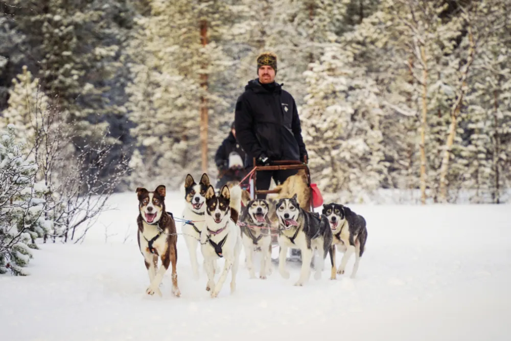 Holmen Husky
