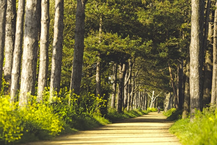 Corbiere Railway Walk