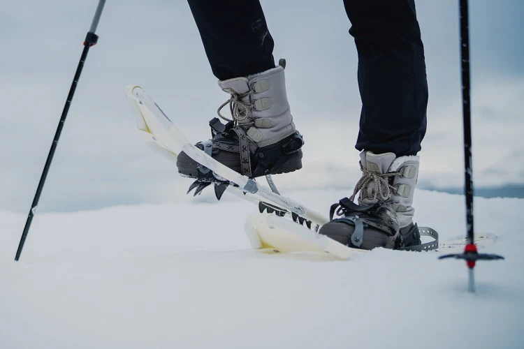 Schneeschuhwandern