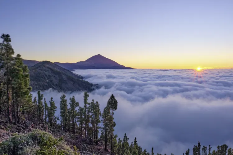 Teide
