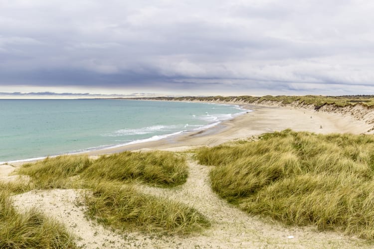 Strand bei Ålbæk