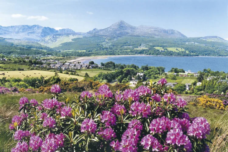 Isle of Arran