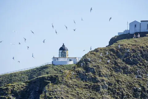 St Abbs Head